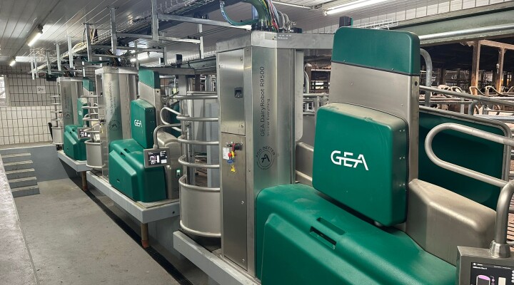 3 Boxen GEA Dairy Robot 9500 bei Familie Milbert in Bauler