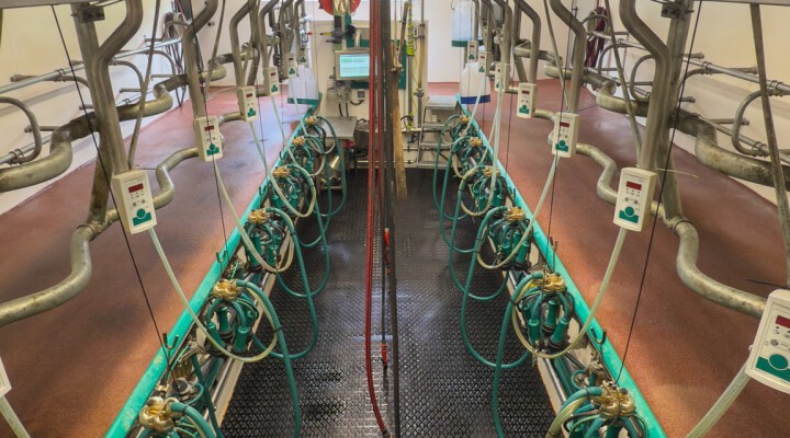 GEA EuroClass 2x7 850 bei Familie Thill in Oberfeulen