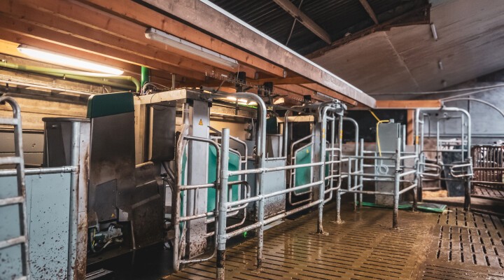 Einbau von zwei DairyRobot R9500 bei Familie Jacque aus Hagen.