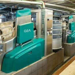 Profi Einsatzbericht: Gea DairyRobot R9500 Edition 2021