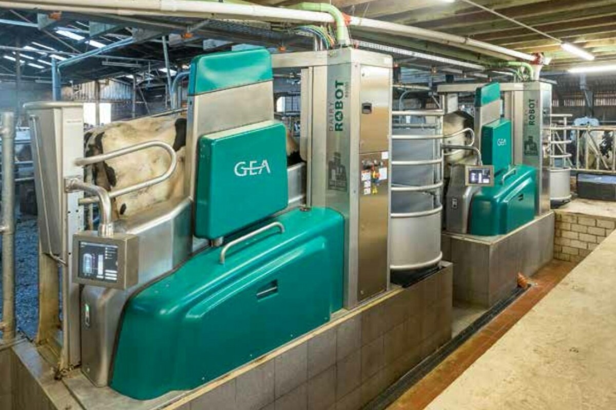 Profi Einsatzbericht: Gea DairyRobot R9500 Edition 2021