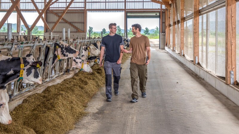 Melk- & Stalltechnik