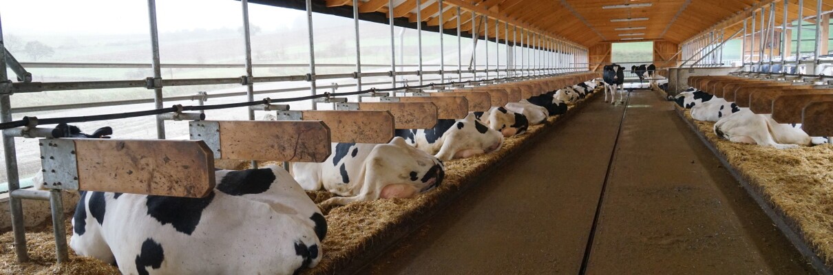GEA Farm Technologies